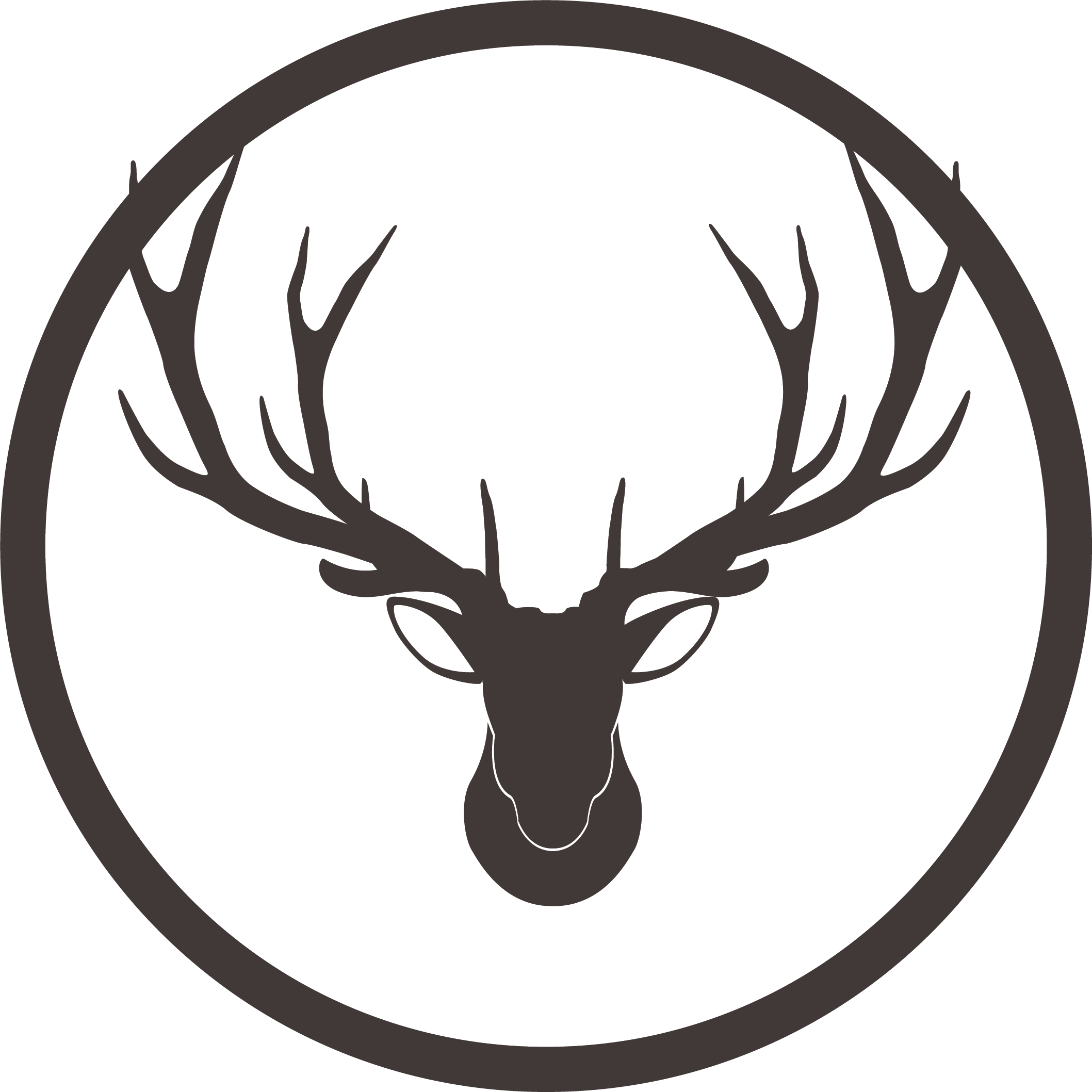 خدمات مدیریت سئو سایت