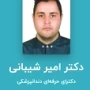 Dr. Amir Shibani