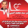 Dr. Seyed Mohammad Amini