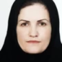 Dr. Seyedzahra Hosseini