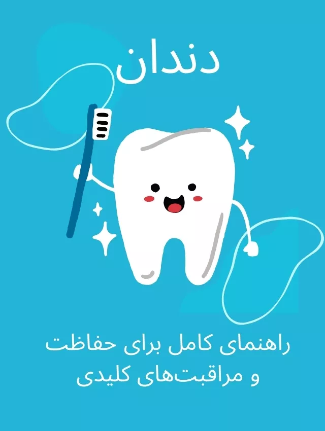 Teeth: The Complete Guide to Key Protection and Care