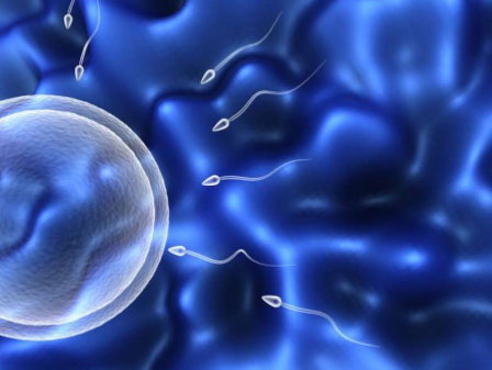 آندرولوژی چیست و آندرولوژیست کیست؟